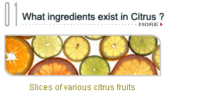 What ingredients exist in Citrus ?